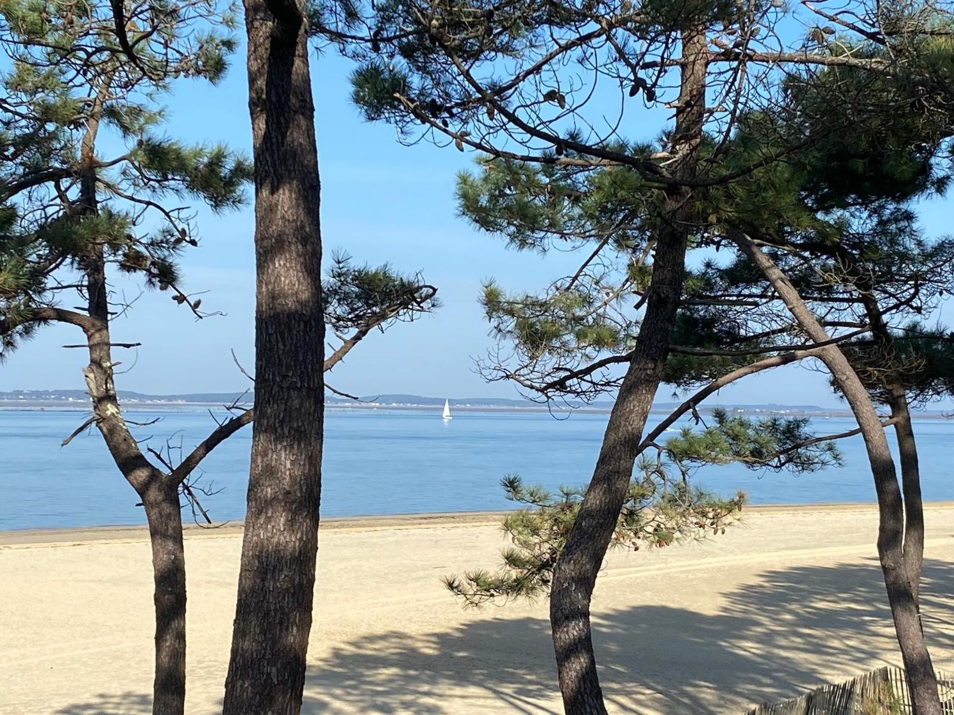 Les Cottages du Bassin d'Arcachon- Accueil, Propreté-Petit-déjeuner sur demande- Gujan-Mestras Esterno foto